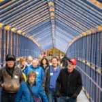 Alumni walking on the Little Mac Bridge on November 2, 2024